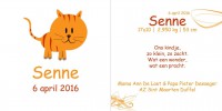 Geboortekaart Poes
